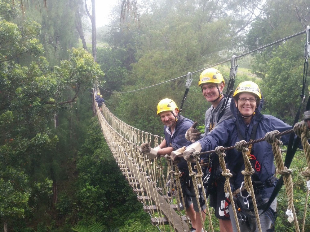 Example Album Zipline